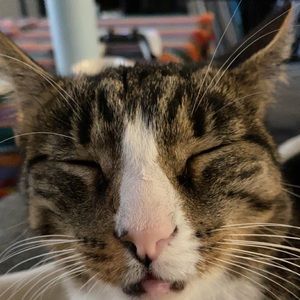 Meet your Posher, Larissa